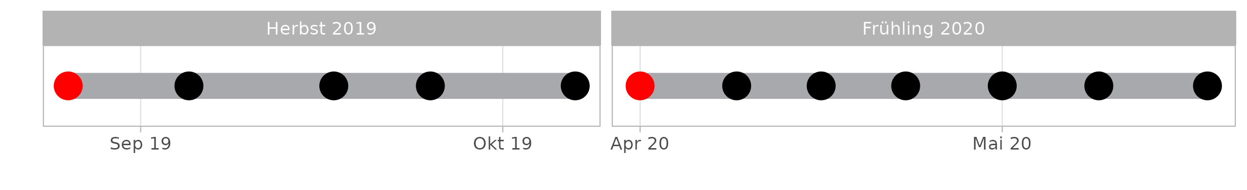 Visualisierung der Kontrollphase der beiden Erhebungsperioden. Der rote Punkt markiert das Ausbringen der Spurentunnel, die schwarzen Punkte stellen jeweils die Daten dar, an denen die Spurenpapiere ausgetauscht wurden. Aus logistischen Gründen wurden im Herbst 2019 nur 4 Kontrollgänge durchgeführt, was sich jedoch nicht auf die Resultate auswirken sollte.